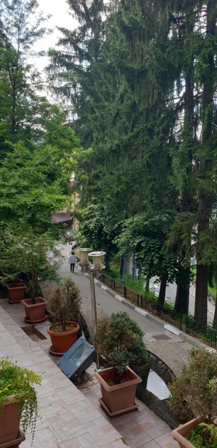 Rosa Villa Băile Olăneşti Zewnętrze zdjęcie