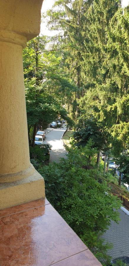 Rosa Villa Băile Olăneşti Zewnętrze zdjęcie