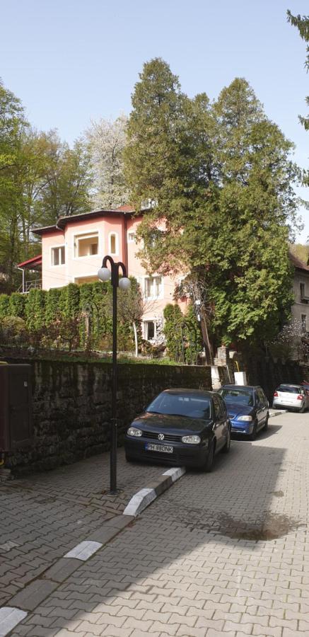 Rosa Villa Băile Olăneşti Zewnętrze zdjęcie